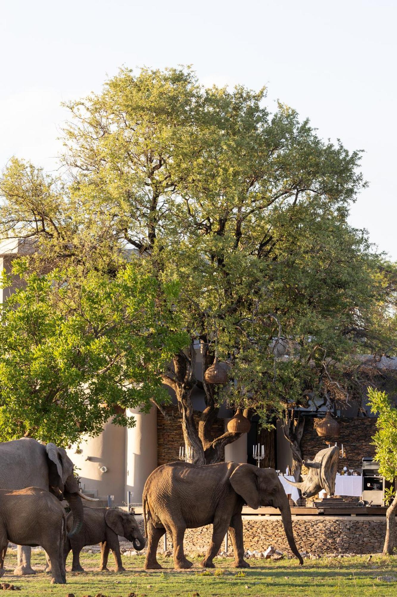 Jamala Madikwe Villa Madikwe Game Reserve Exterior photo